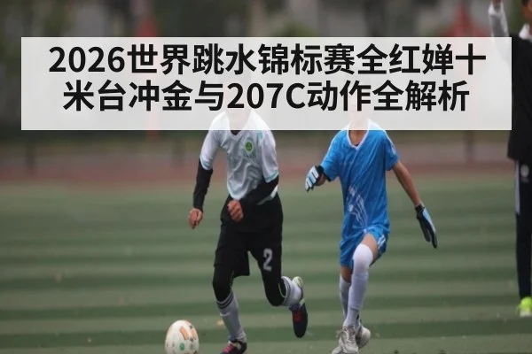 2026世界跳水锦标赛全红婵十米台冲金与207C动作全解析